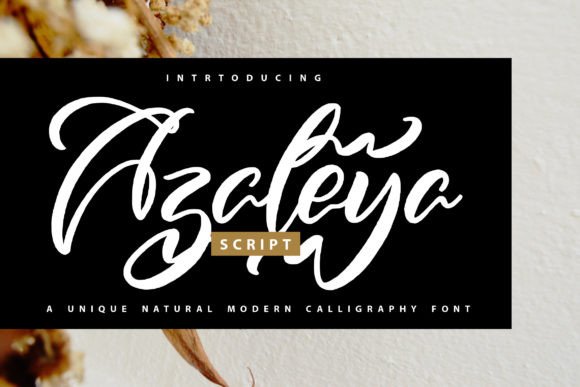 Azaleya: A Stylish Script Font for Business