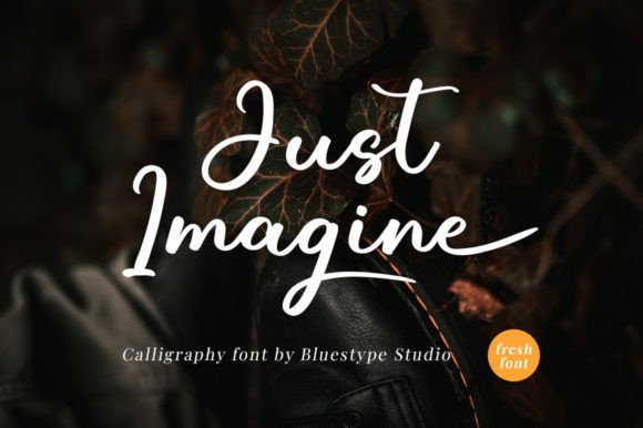 Just Imagine Font for Web Design