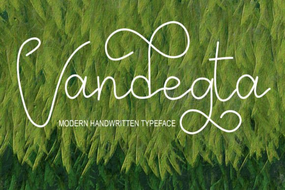 Vandegta: A Script Amp for Real Projects